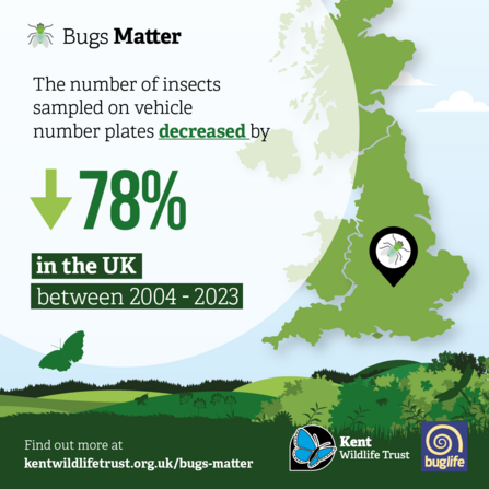 Bugs Matter 2023 bug splat stat UK
